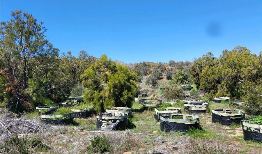 58660 80th Ave, Anza, CA 92539 - 0 Beds, 0 Bath