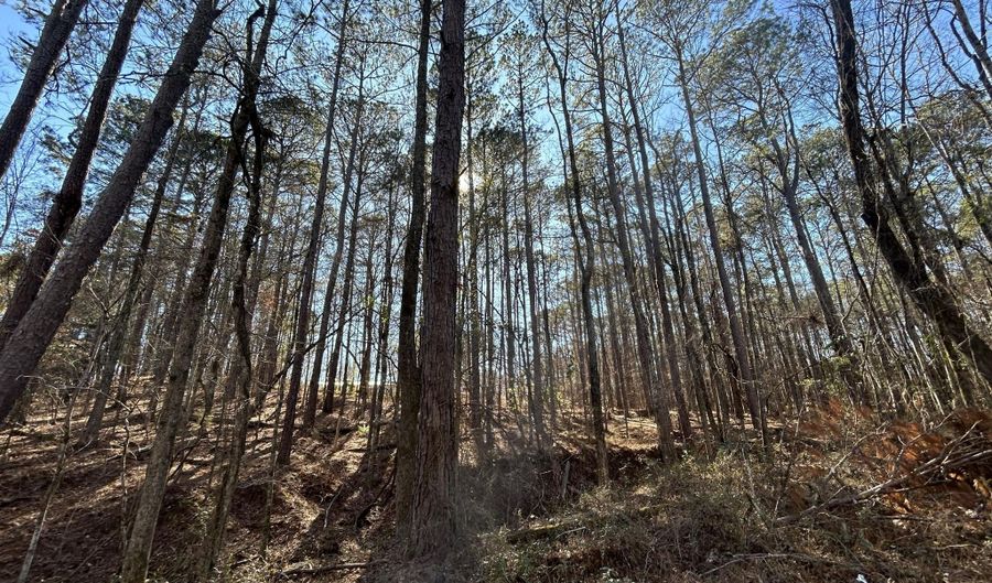 N Forty lot 3, Alexander City, AL 35010 - 0 Beds, 0 Bath