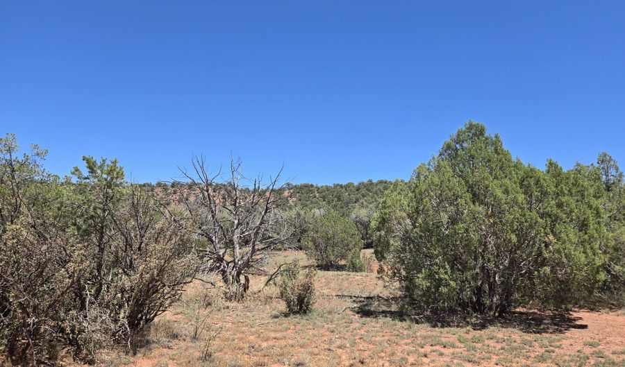 236 W Kings Ranch Rd, Ash Fork, AZ 86320 - 0 Beds, 0 Bath
