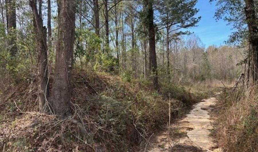 Conecuh River Church Rd, Andalusia, AL 36420 - 0 Beds, 0 Bath