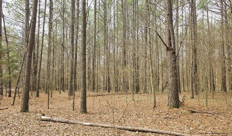 Zig Zag, Big Sandy, TN 38221 - 0 Beds, 0 Bath