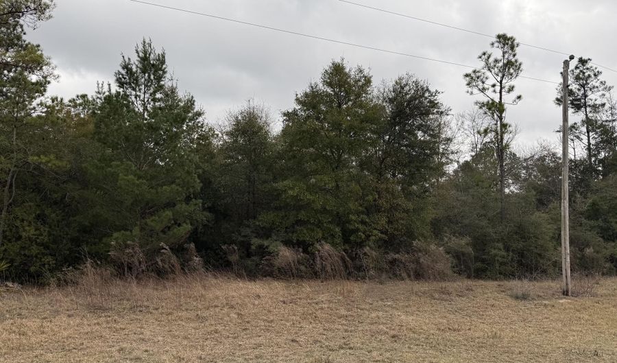 Russell Avenue, Alford, FL 32420 - 0 Beds, 0 Bath
