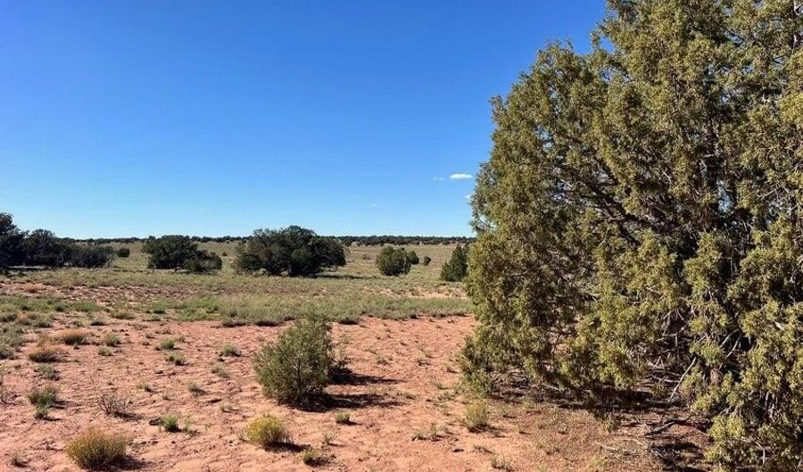 004 N9027, Concho, AZ 85924 - 0 Beds, 0 Bath