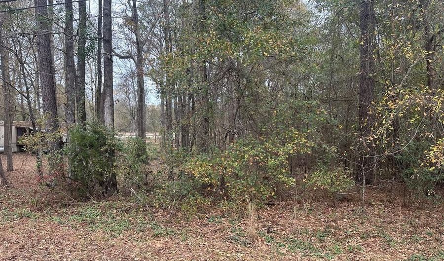 0 County Road 97, Abbeville, AL 36310 - 0 Beds, 0 Bath