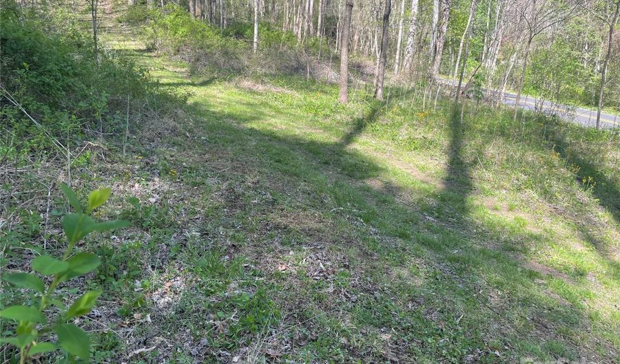 0 Martins Creek Rd, Barnardsville, NC 28709 - 0 Beds, 0 Bath