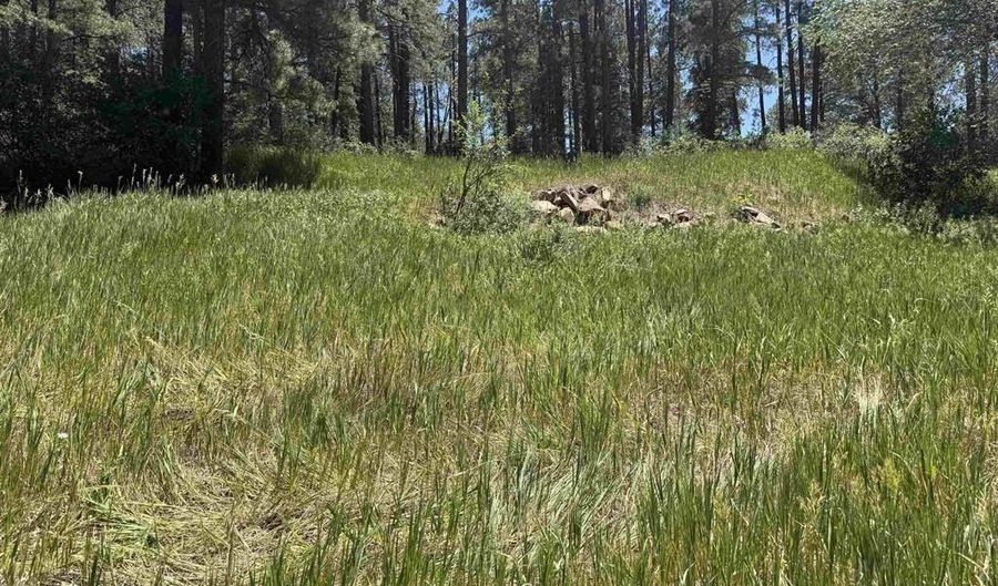 473 Alpine Forest Dr, Bayfield, CO 81122 - 0 Beds, 0 Bath
