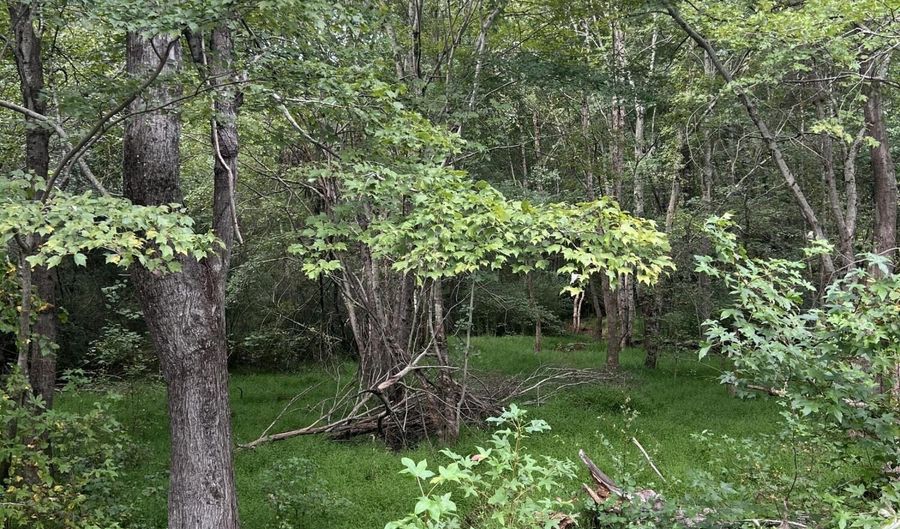264 Alternate Lot 3, Bailey, NC 27807 - 0 Beds, 0 Bath