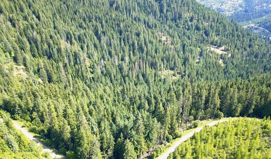 10 Ac S LATOUR CREEK Rd, Cataldo, ID 83810 - 0 Beds, 0 Bath