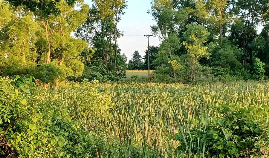 9250 92nd St SE, Alto, MI 49302 - 0 Beds, 0 Bath