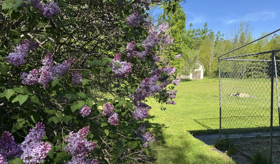 6234 French Rd, Alpena, MI 49707 - 3 Beds, 1 Bath