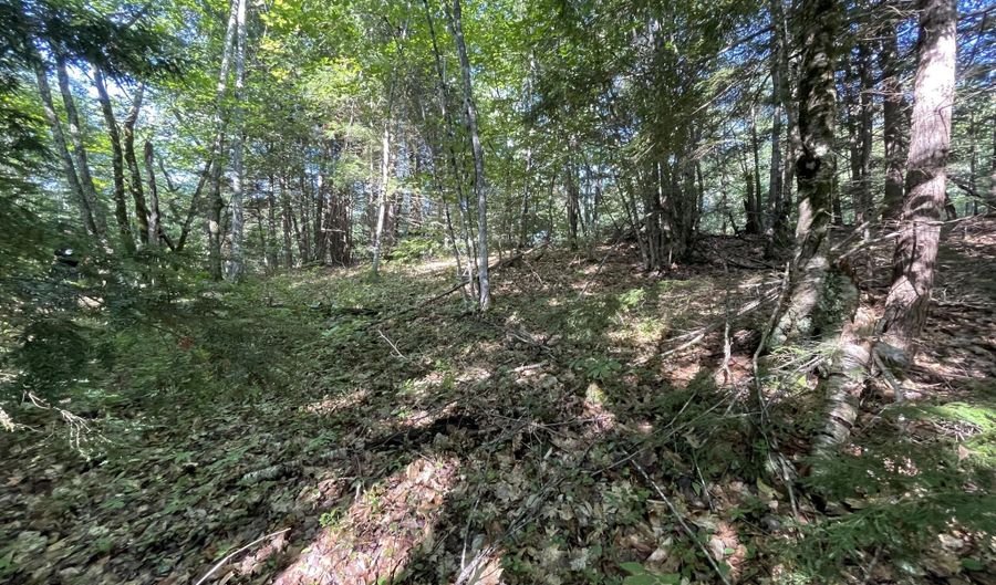 Birch View Drive lot # 0, Albany Twp., ME 04217 - 0 Beds, 0 Bath