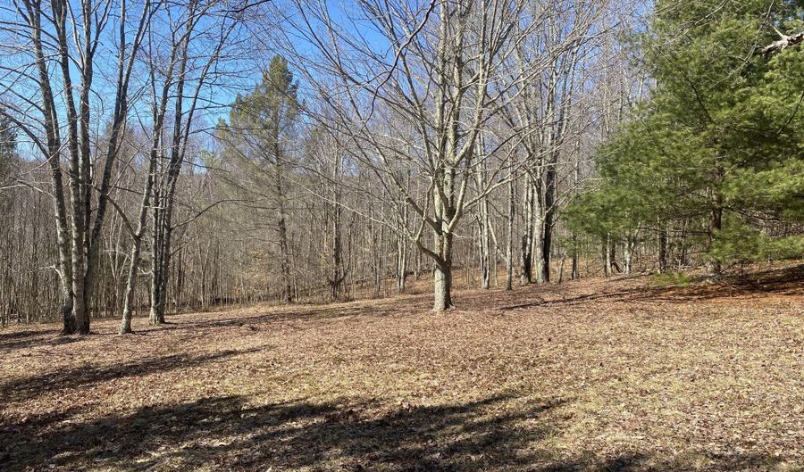 L21.1 Alder Pond Road, Andes, NY 13740 - 0 Beds, 0 Bath