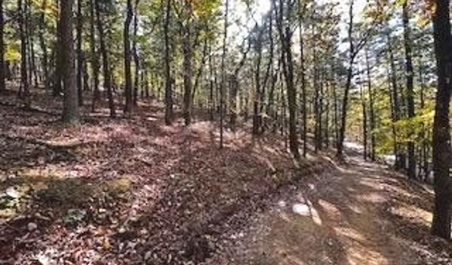 0 LOWER ARKANSAS Rd, Baker, WV 26801 - 0 Beds, 0 Bath