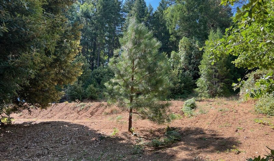 Lot 1231 Barlow Street, Cave Junction, OR 97523 - 0 Beds, 0 Bath