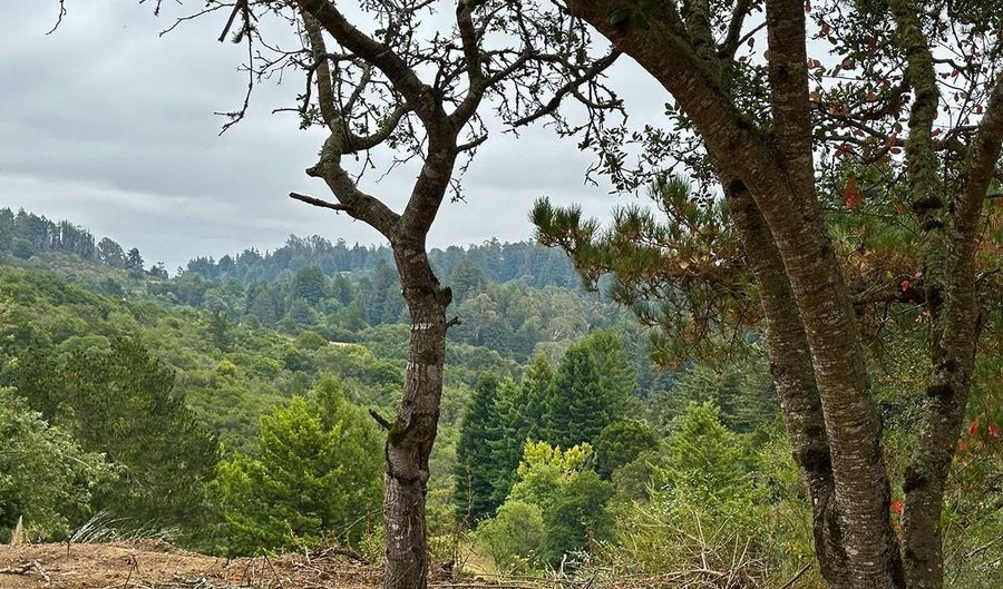 5601 Freedom Blvd, Aptos, CA 95003 - 6 Beds, 0 Bath