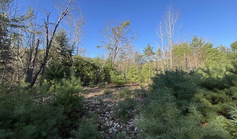 00 Simonsville Rd Lot 3, Andover, VT 05143 - 0 Beds, 0 Bath
