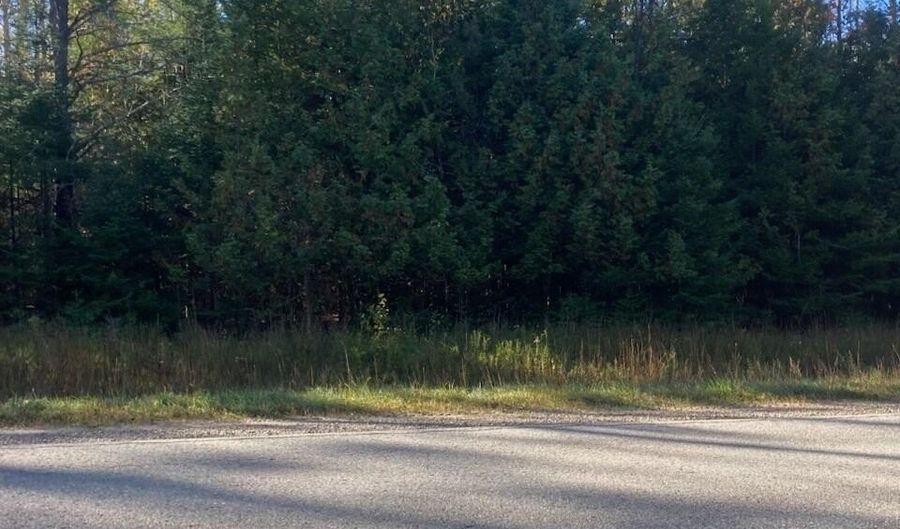 9165 Afton Rd, Afton, MI 49705 - 0 Beds, 0 Bath