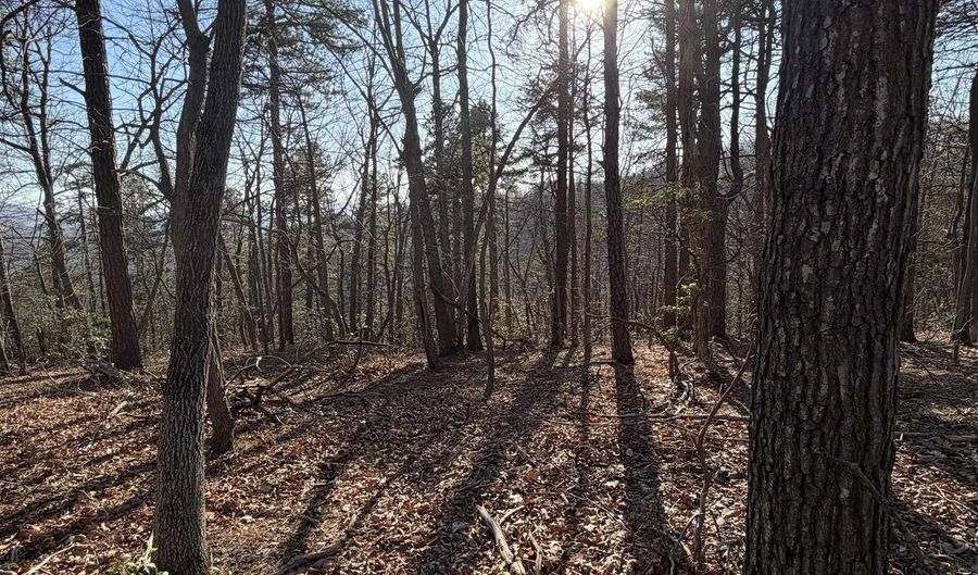 OLD STONY RIDGE RD lot 7, Afton, VA 22920 - 0 Beds, 0 Bath