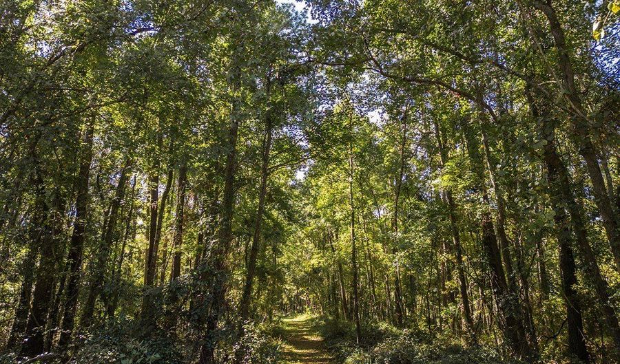 State Rd 121, Alachua, FL 32615 - 0 Beds, 0 Bath