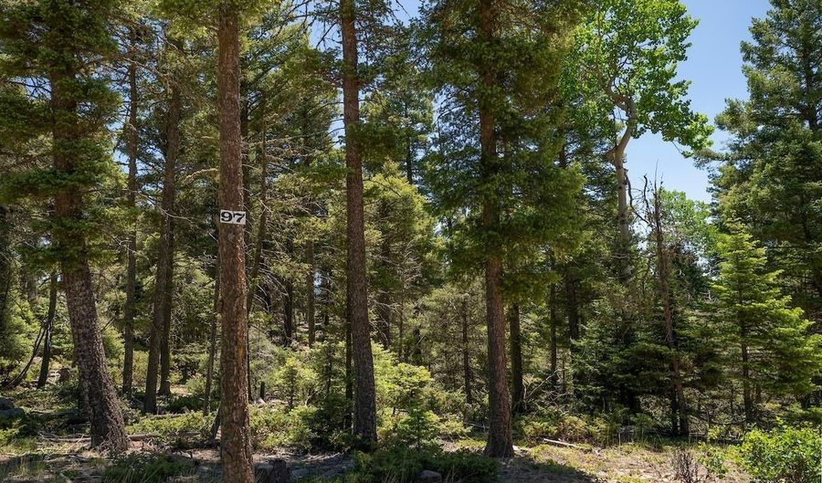 97 Zia Rd, Angel Fire, NM 87710 - 0 Beds, 0 Bath