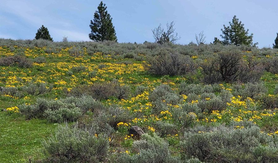 Tbd Tbd, Cambridge, ID 83610 - 0 Beds, 0 Bath