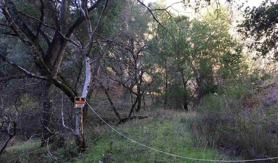 Lark Ln, Alamo, CA 94507 - 0 Beds, 0 Bath