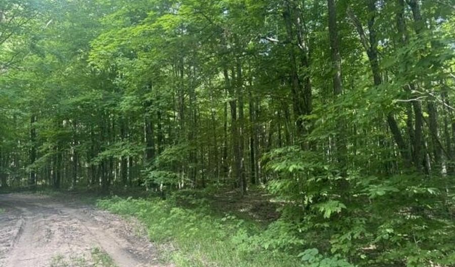 4439 Derry Rd, Alba, MI 49611 - 0 Beds, 0 Bath