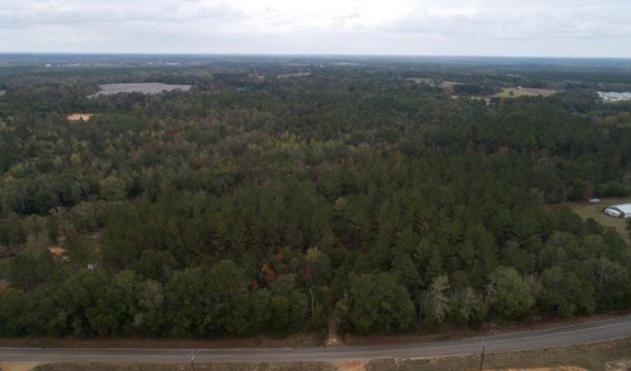 9 3 +/- Acres Airport Rd, Andalusia, AL 36421 - 0 Beds, 0 Bath