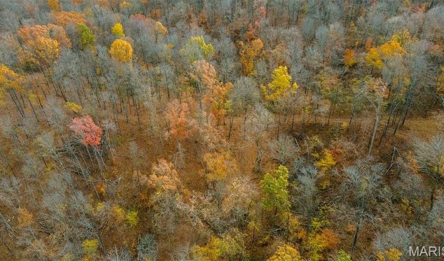 0 County Road 259, Advance, MO 63730 - 0 Beds, 0 Bath