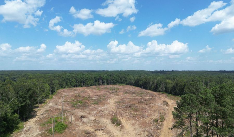 SE Cole Drive, Bogue Chitto, MS 39629 - 0 Beds, 0 Bath