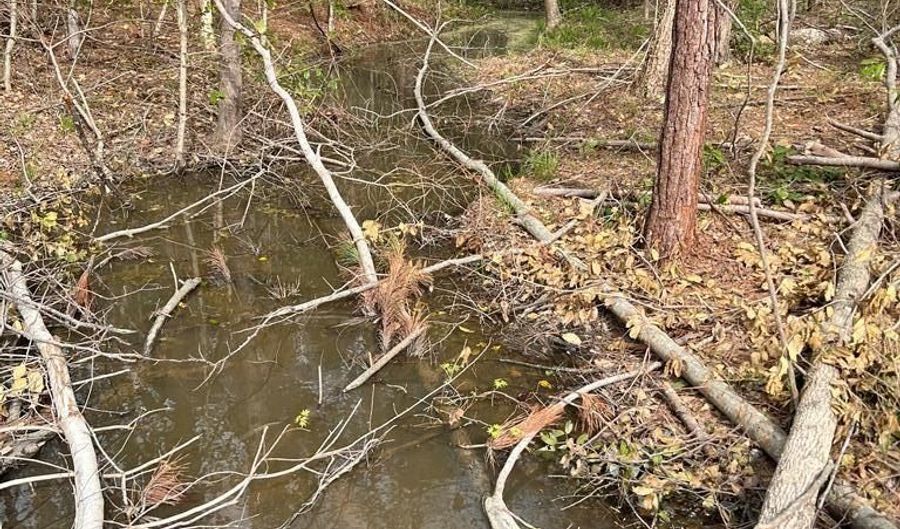 28 14 Chalk Level Rd Lot 1, Alberta, VA 23821 - 0 Beds, 0 Bath