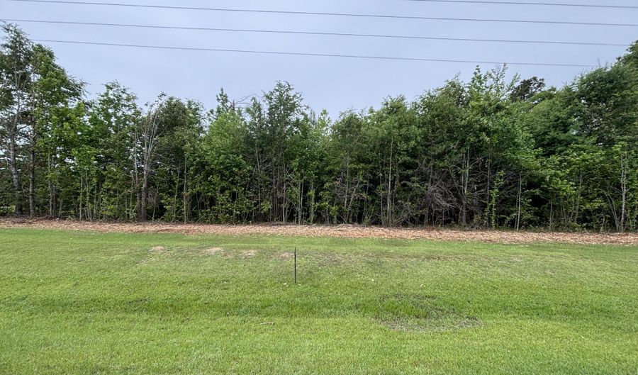U.S. 45, Aberdeen, MS 39730 - 0 Beds, 0 Bath