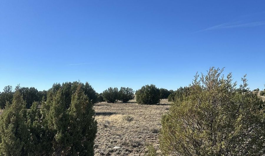 201-29 164C, Concho, AZ 85924 - 0 Beds, 0 Bath