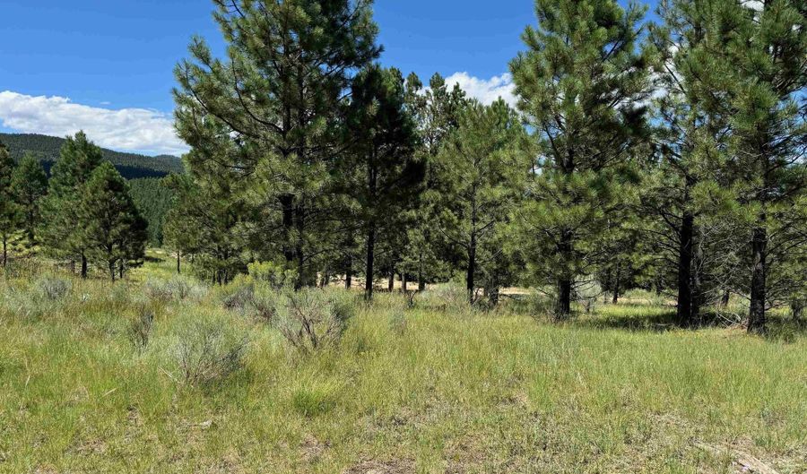 Lot 459 San Mateo, Angel Fire, NM 87710 - 0 Beds, 0 Bath