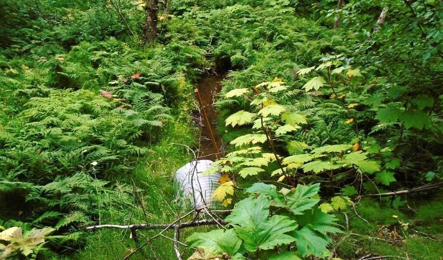 Lot 102 Nw Loc Sault Avenue, Anchorage, AK 99516 - 0 Beds, 0 Bath