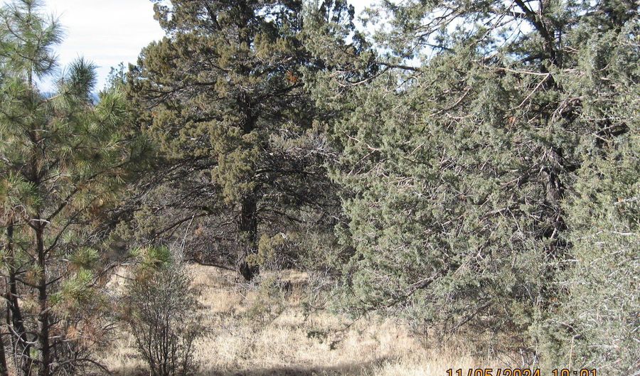 Lot 7 Warbler Drive, Bonanza, OR 97623 - 0 Beds, 0 Bath