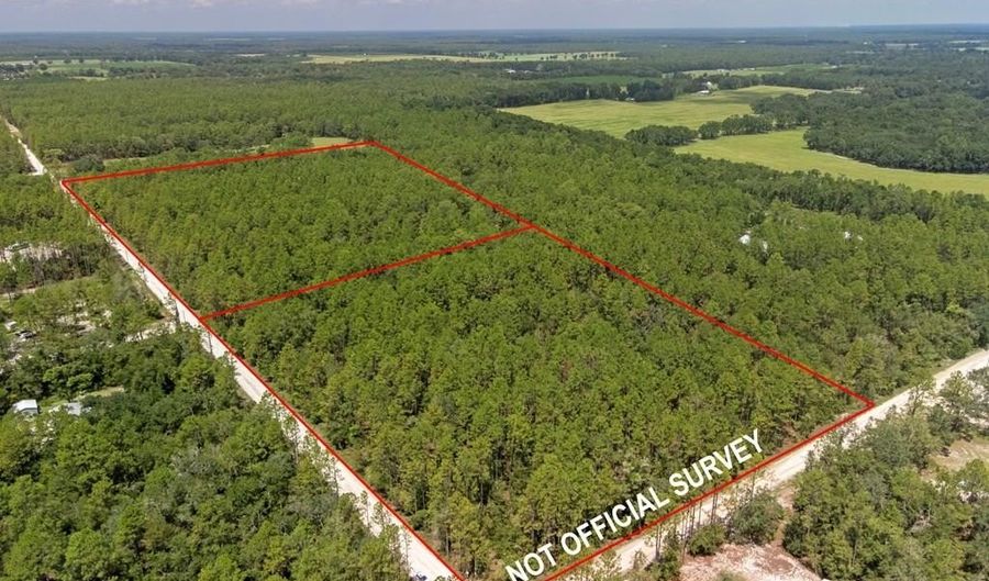 TBD 65th St, Bell, FL 32619 - 0 Beds, 0 Bath