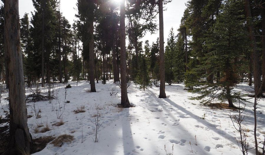 Long Trail Rd, Black Hawk, CO 80422 - 0 Beds, 0 Bath