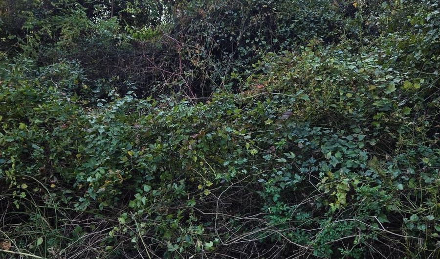 8824 OLD LAUREL BOWIE Rd, Bowie, MD 20720 - 0 Beds, 0 Bath