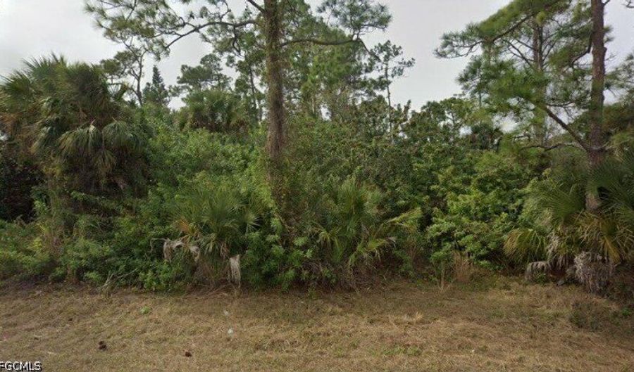 2321 Moore Ave, Alva, FL 33920 - 0 Beds, 0 Bath