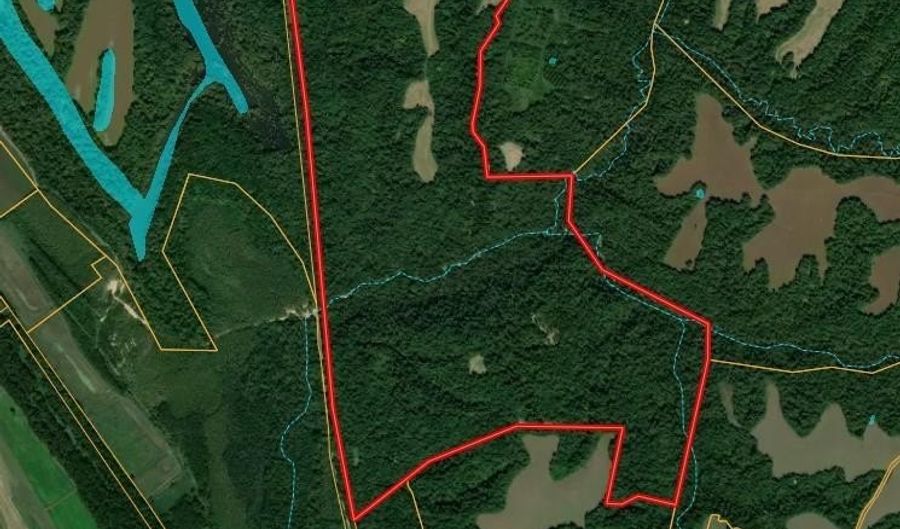 Sandy Branch Road, Bardwell, KY 42023 - 0 Beds, 0 Bath