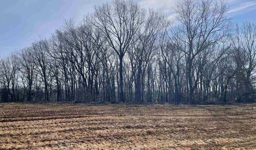1150 W Main St, Atwood, TN 38220 - 0 Beds, 0 Bath