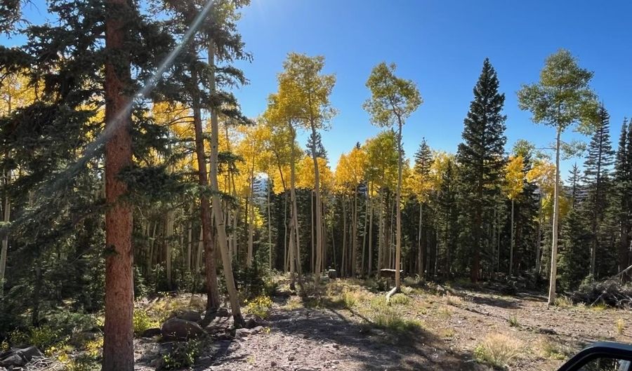 377 N Upper Meadow Dr, Beaver, UT 84713 - 0 Beds, 0 Bath