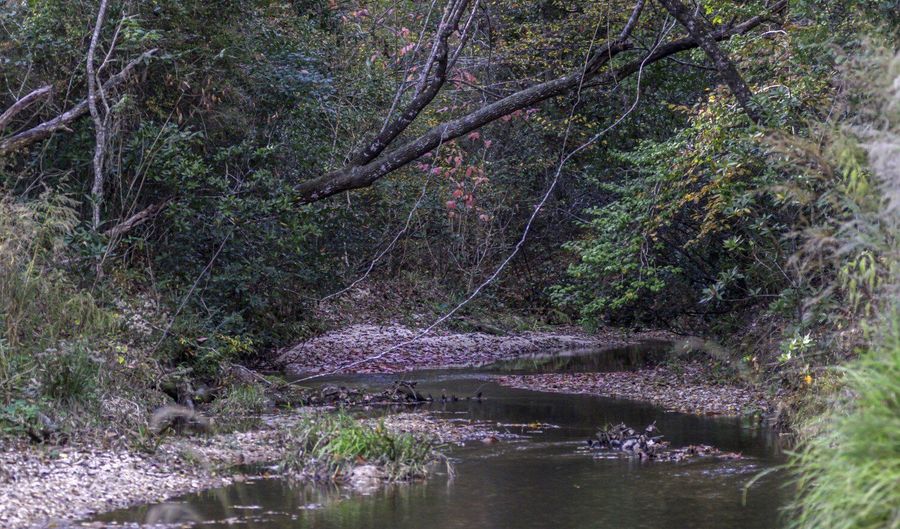 2116 Highway 84 E, Brookhaven, MS 39601 - 0 Beds, 0 Bath