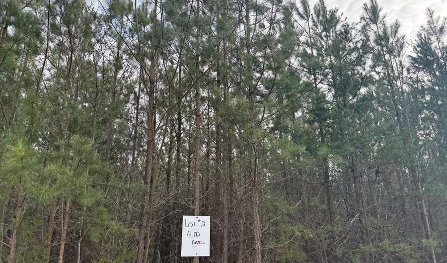 HARDWARE RD lot 2, Arvonia, VA 23004 - 0 Beds, 0 Bath