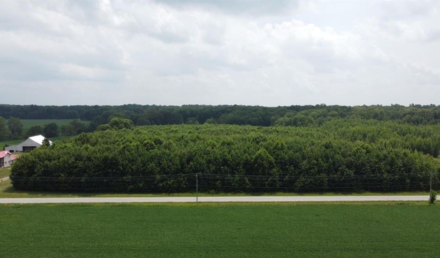 State Road 250, Bennington, IN 47011 - 0 Beds, 0 Bath
