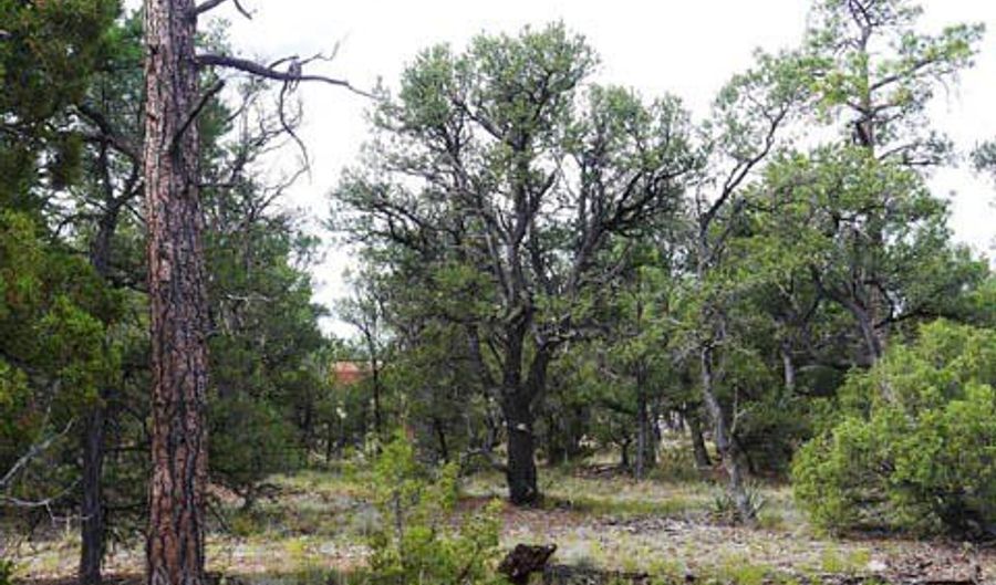Blue water, Bluewater, NM 87005 - 0 Beds, 0 Bath