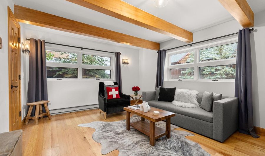 914 Waters Ave 20, Aspen, CO 81611 - 2 Beds, 2 Bath