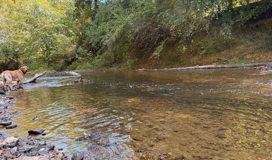 0 Coleman Mountain Rd, Appomattox, VA 24522 - 0 Beds, 0 Bath