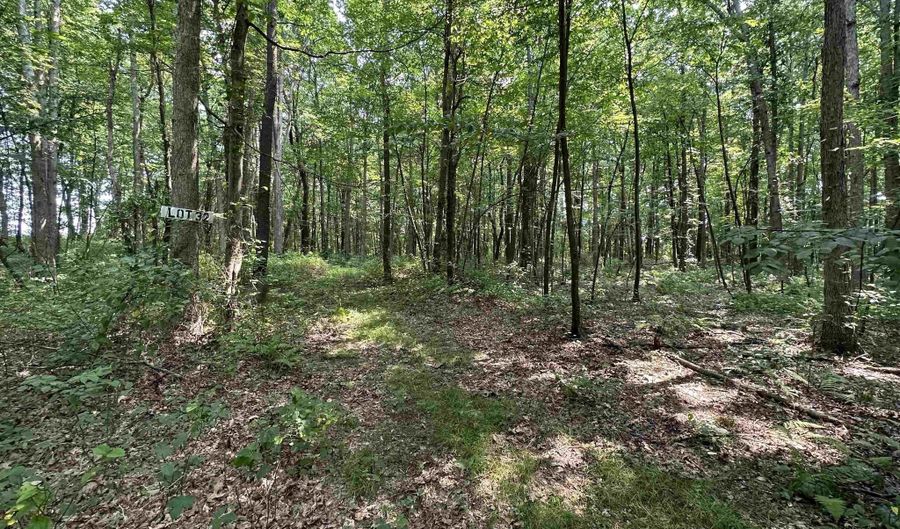 32 Oak Dr, Albright, WV 26519 - 0 Beds, 0 Bath